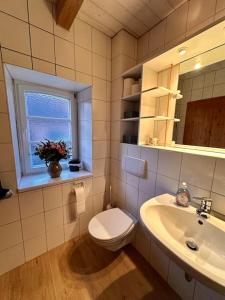 uma casa de banho com um WC, um lavatório e uma janela em Schmuckstück in der Griese Gegend 