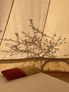 ein Bett mit einem Schatten eines Baumes in einem Zelt in der Unterkunft Zeltferien Into the Wäid "Zelt unter der Esche" - b48851 in Ennetmoos