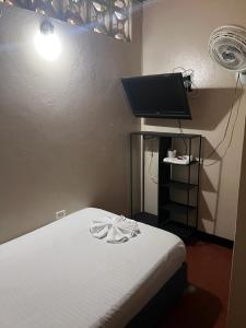 TV a/nebo společenská místnost v ubytování Nuevo hospedaje benny