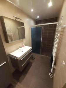 y baño con lavabo, ducha y espejo. en Wohnung im Bauerhof - b48860, en Luins