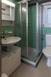 een badkamer met een douche, een wastafel en een toilet bij Familienfreundliche Ferienwohnung mit Spielwiese Haus Reanchme Parterre - b48833 in Sörenberg