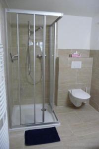 uma casa de banho com um chuveiro e um WC. em Ferienwohnung Saturn - b48834 em Sörenberg