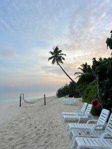 een rij ligstoelen op een strand met een palmboom bij Sabba Summer Suite , Fodhdhoo in Fodhdhoo