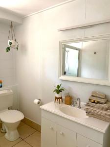 a bathroom with a toilet and a sink and a mirror at Tree Escape in Rainbow Beach