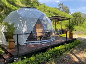Zahrada ubytování Ocobos Glamping