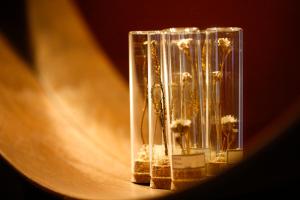 Foto Kyotos asuva majutusasutuse ゼロイン祇園三条 galeriist