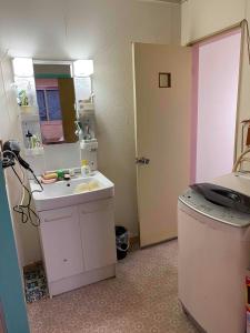 a small bathroom with a sink and a mirror at Mason1, Direct to Narita,Haneda AirPort, Disney,Asakusa,Skytree Tower,Tokyo,Ginza All Direct, D in Kamagaya