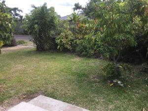 une cour avec de l'herbe, des arbres et un trottoir dans l'établissement Iaoraboraborahouse TEREIA, à Bora Bora