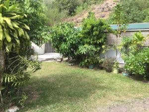 ogródek z drzewami i roślinami w obiekcie Iaoraboraborahouse TEREIA w mieście Bora Bora