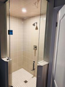 布蘭普頓的住宿－C&M LUXURY HOME，浴室里设有玻璃门淋浴