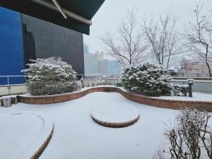 Ekonomy Hotel Myeongdong Premier að vetri til
