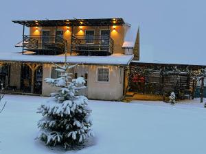 una casa cubierta de nieve con un árbol de Navidad delante de ella en Casuta din Deal en Ucea de Sus