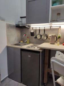a small kitchen with a sink and a dishwasher at The nest in Dušanovac (historical)