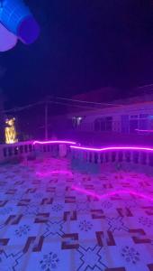Zimmer mit lila Lichtern auf dem Boden in der Unterkunft Sewaro Homestay in Sukhia Pokhari