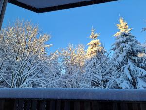 una ventana con vistas a los árboles cubiertos de nieve en Family House, en Mozirje