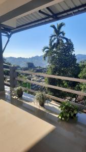 balcón con vistas a una palmera en m&b homestay, en Itānagar