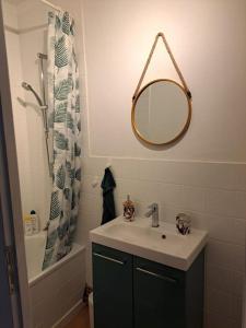 uma casa de banho com um lavatório, um espelho e um chuveiro em Logement atypique à Ornans em Ornans
