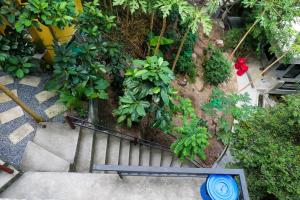Um jardim no exterior de Deishaview Jungle Hostel