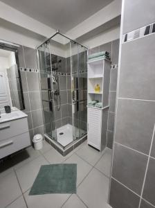 ein Bad mit einer Dusche und einem Waschbecken in der Unterkunft Appartement idéalement situé - la Seyne sur mer in La Seyne-sur-Mer