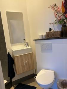 a bathroom with a toilet and a sink and a mirror at Lovely small apartment in 'De Pijp' in Amsterdam