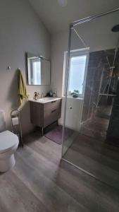 een badkamer met een douche, een toilet en een wastafel bij Blue House with terrace in Palanga