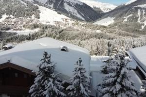 un techo cubierto de nieve de un edificio con árboles en Zillertal-Arena 42m2 (2-6 persons: 2adults +4kids), en Krimml