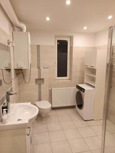 uma casa de banho com um lavatório e uma máquina de lavar roupa em Brenna Pogodny Dom em Górki Wielkie