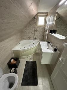 a bathroom with a toilet and a tub and a sink at RURAL STAY 39 in Nicoleşti