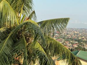 uitzicht op de stad van achter een palmboom bij Calm Hillside Swimming Pool Villa Apartment in Accra