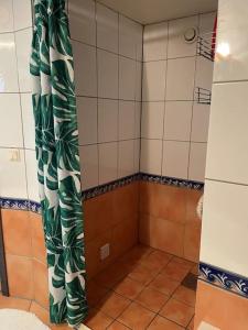 La salle de bains est pourvue d'une douche avec rideau de douche. dans l'établissement Limhamn city-ocean, à Limhamn