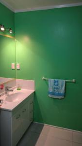 a green bathroom with a sink and a mirror at Wendy's Holiday Home in Auckland