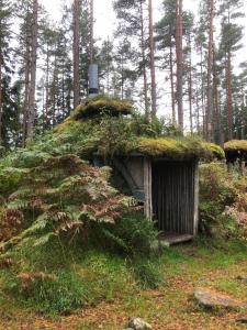 uma velha cabana com um telhado de relva na floresta em Kylås Vildmark em Skillingaryd