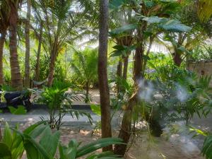 a garden with palm trees and plants at Gems Garden Guest House in Tangalle