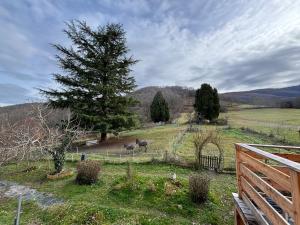 two animals in a field with a fence and a tree at Les chambres d'Agath'ânes in Ganac