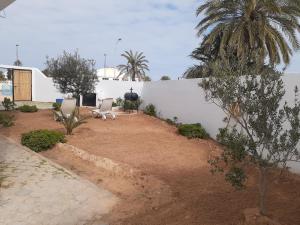 a yard with two chairs and a white wall at CoZi Coliving space Djerba in Mezraya