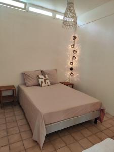 ein Schlafzimmer mit einem Bett in einem Zimmer in der Unterkunft La petite Maison de La Saline-les-Bains in Saint-Paul