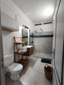 a bathroom with a toilet and a shower and a sink at La petite Maison de La Saline-les-Bains in Saint-Paul