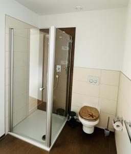 La salle de bains est pourvue de toilettes et d'une douche en verre. dans l'établissement Schmid's Ponyhöfle, à Friedrichshafen