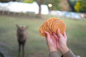 a person is holding a cookie in their hand at LOCO Minamiichi in Nara