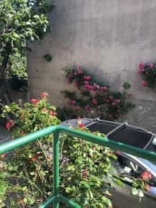 a garden with pink flowers and a green fence at 3 chambres/ bail mobilité possible in Vitry-sur-Seine