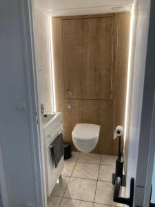 La petite salle de bains est pourvue de toilettes et d'un lavabo. dans l'établissement Appartement cosy, à Saint-Sébastien-sur-Loire