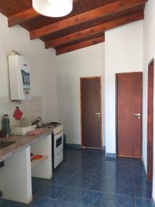 内乌肯La Peninsula的厨房里有水槽和炉灶。 上层烤箱