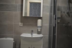 a bathroom with a sink and a toilet at Floros simfonija Jūros in Šventoji