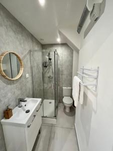 a bathroom with a shower and a sink and a toilet at Les appartements d'Ostende in Calais +17 photos