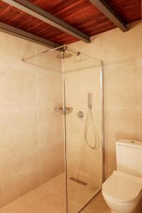a bathroom with a glass shower with a toilet at Annousa's House & Studios in Kallirakhi