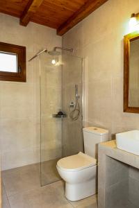 a bathroom with a toilet and a glass shower at Annousa's House & Studios in Kallirakhi