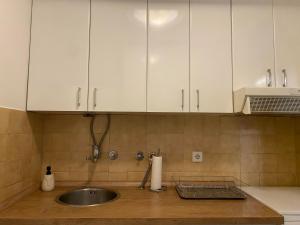 un bancone della cucina con lavello e armadietti bianchi di Apartment Jasna a Belgrado