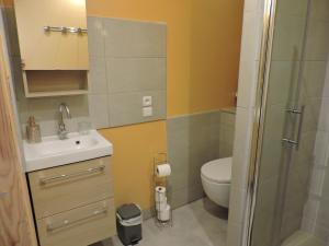 a bathroom with a toilet and a sink and a shower at Arum in Codalet