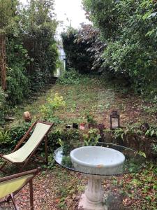 un bain d'oiseaux et une chaise dans le jardin dans l'établissement Maison familiale et lumineuse avec jardin, à Versailles