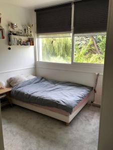 uma cama num quarto com duas janelas em Maison familiale et lumineuse avec jardin em Versailles